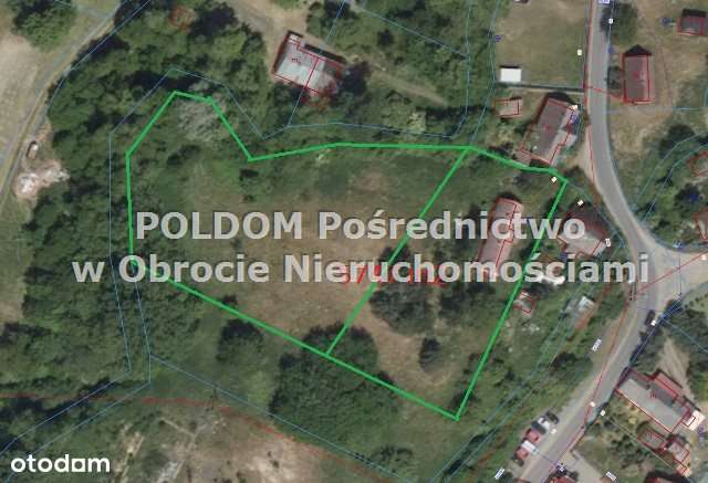 Działka budowlana 5747 m2/ Wilczyn k. Obornik Śl-0