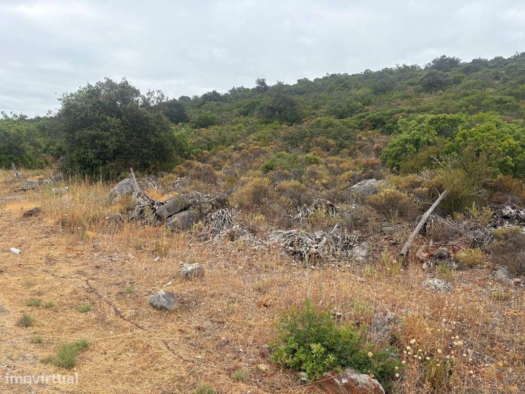 Terreno Agrícola de 10.900 m² entre Salir e Tôr, Algarve - Grande imagem: 5/16