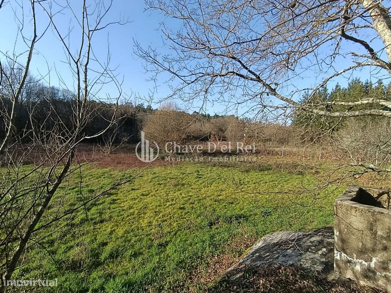 Terreno  Venda em Couto de Baixo e Couto de Cima,Viseu-2