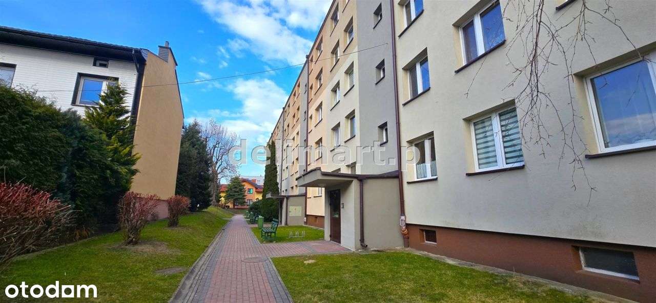 , Wolna