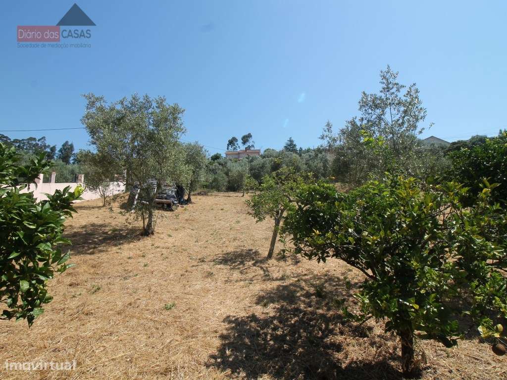 Terreno com viabilidade de construção - Grande imagem: 2/6