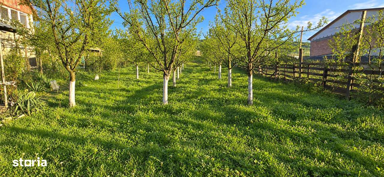 TEREN INTRAVILAN DE VANZARE IN GHINDA – 1.328 MP | DOUA PARCELE | 45.0-0