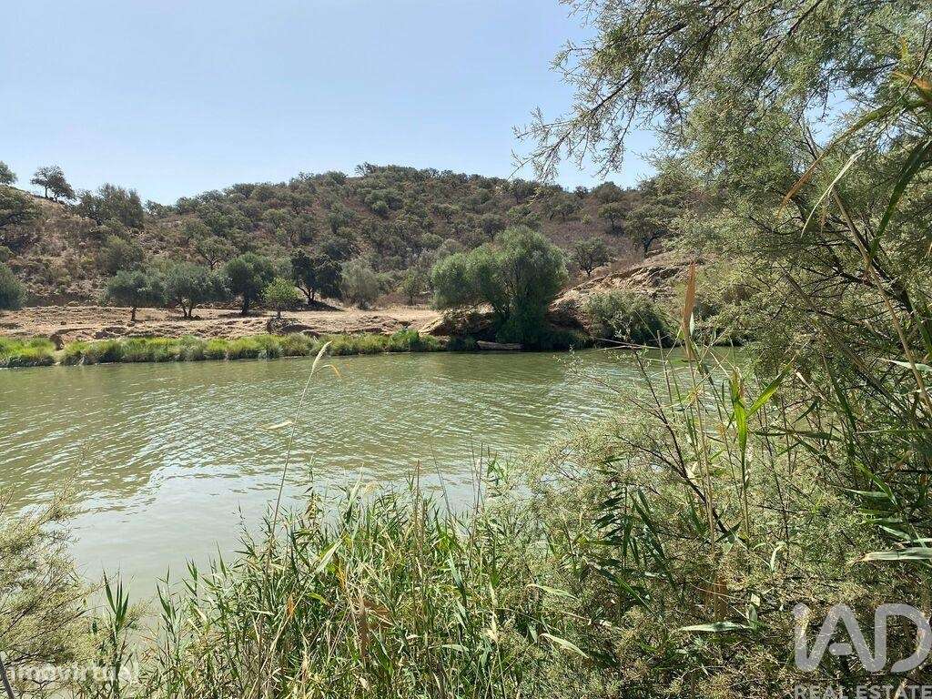 Terreno Agrícola em Odeleite - Grande imagem: 5/10