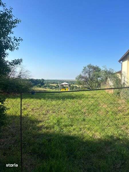 teren de vanzare in Iepuresti - Imagine principală: 3/4