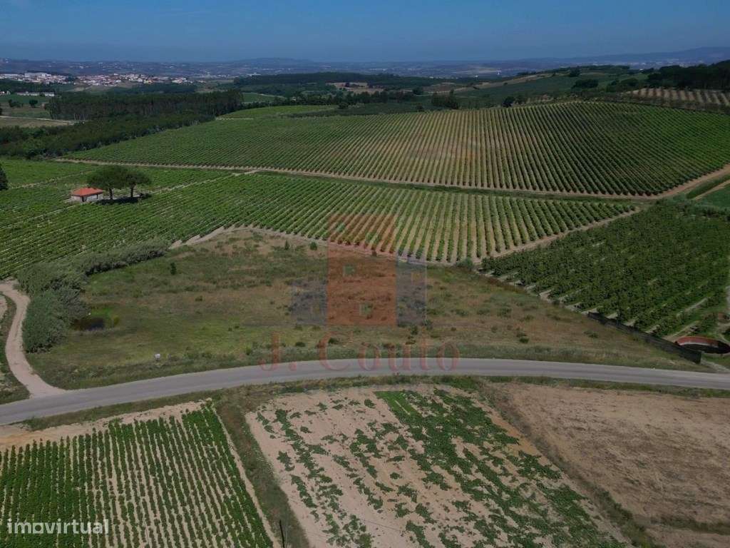 Terreno Rústico para Agricultura - Grande imagem: 5/9