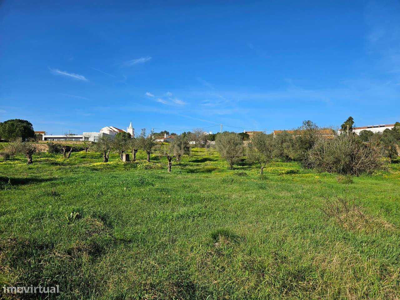 Terreno Rústico à Venda em Montalvo - Oportunidade Única - Grande imagem: 4/6