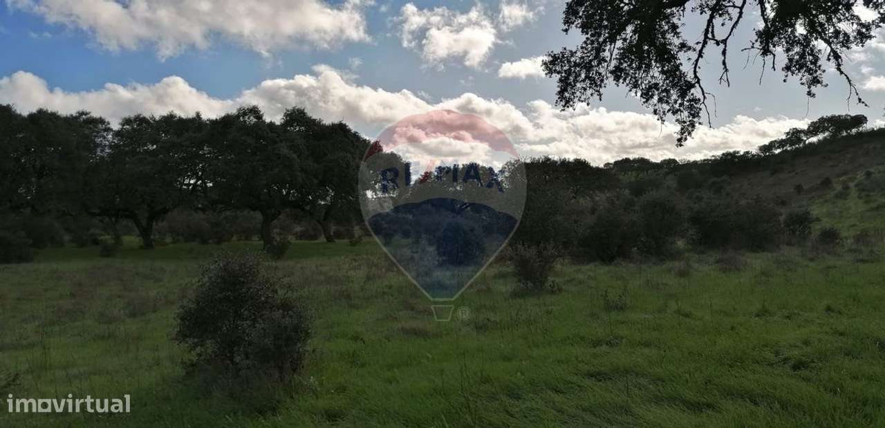 Terreno  para venda - Grande imagem: 4/20