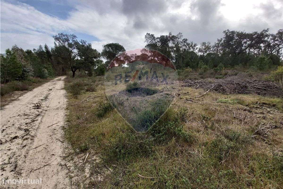 Terreno T0 para venda - Grande imagem: 3/5
