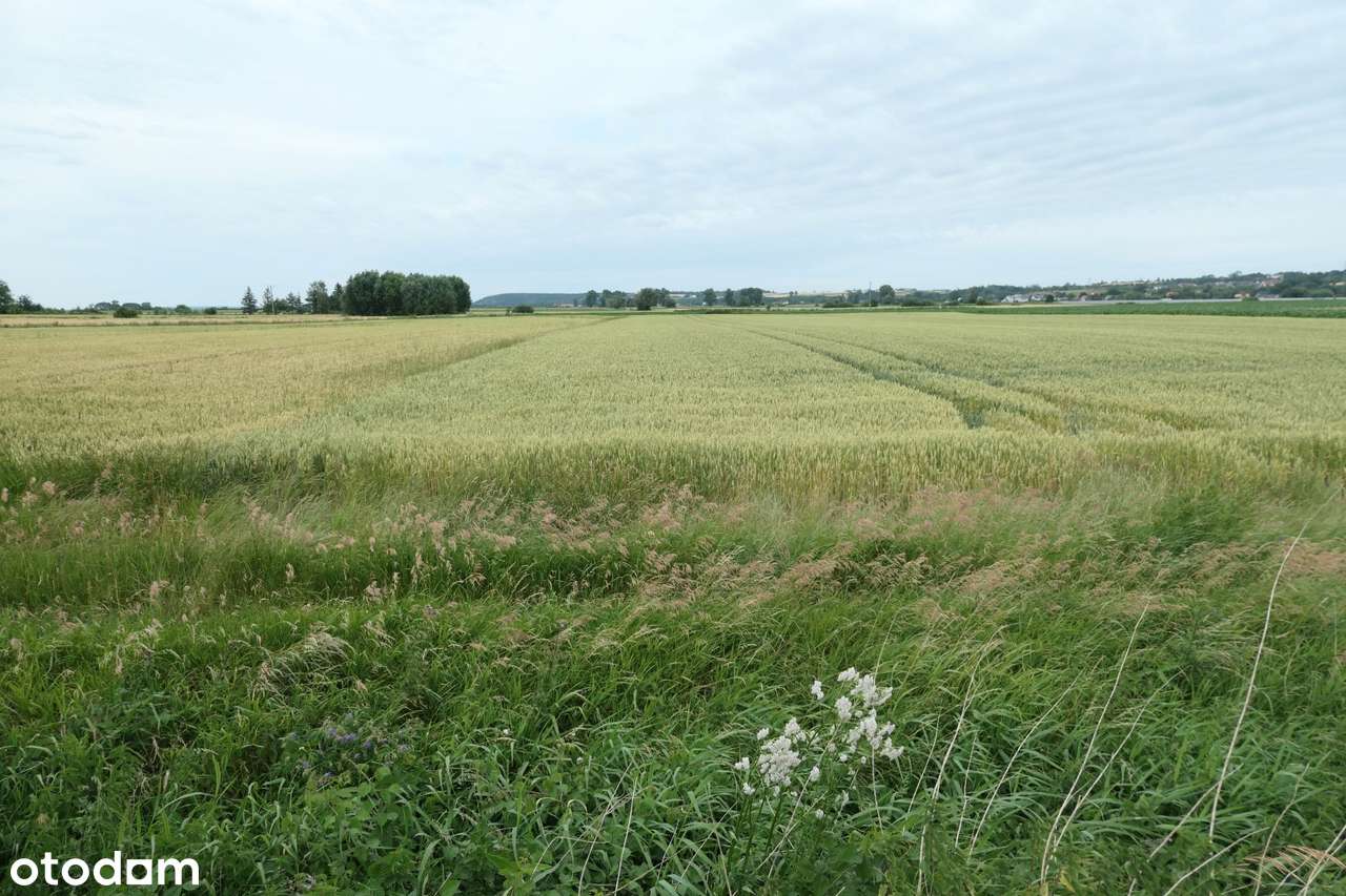 Działka z warunkami zabudowy | Mareza - Pełny obrazek: 1/8