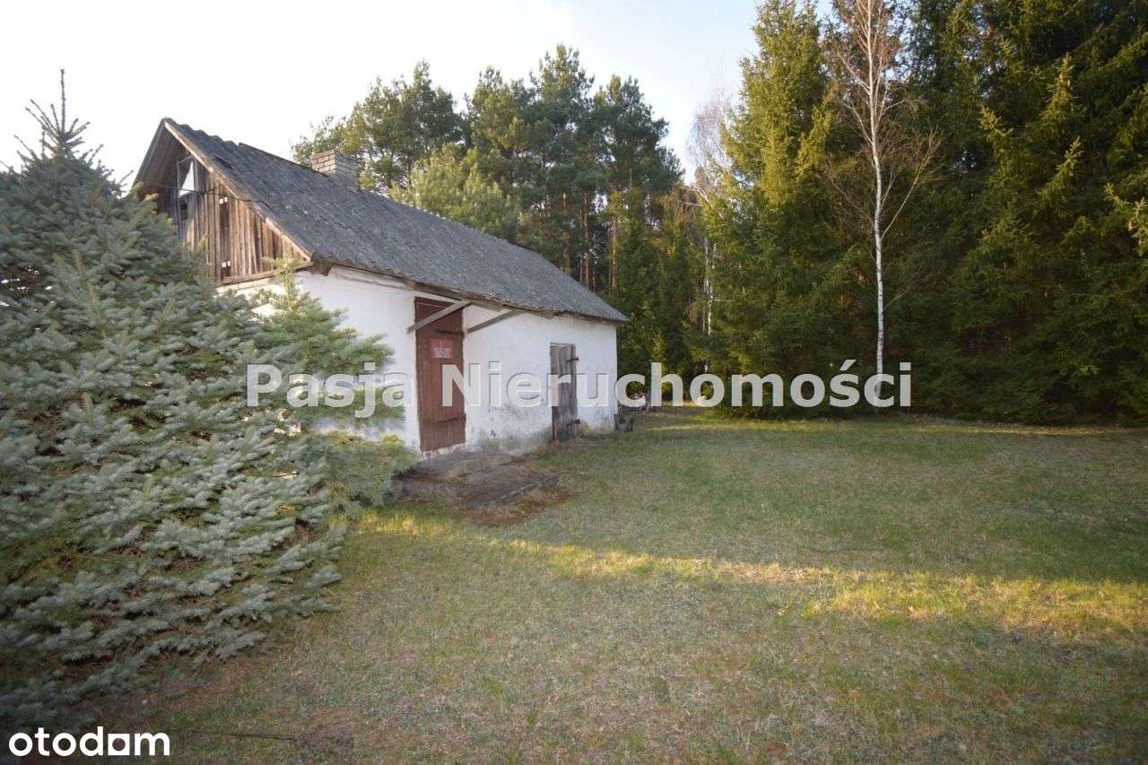 Siedlisko przy lesie-5