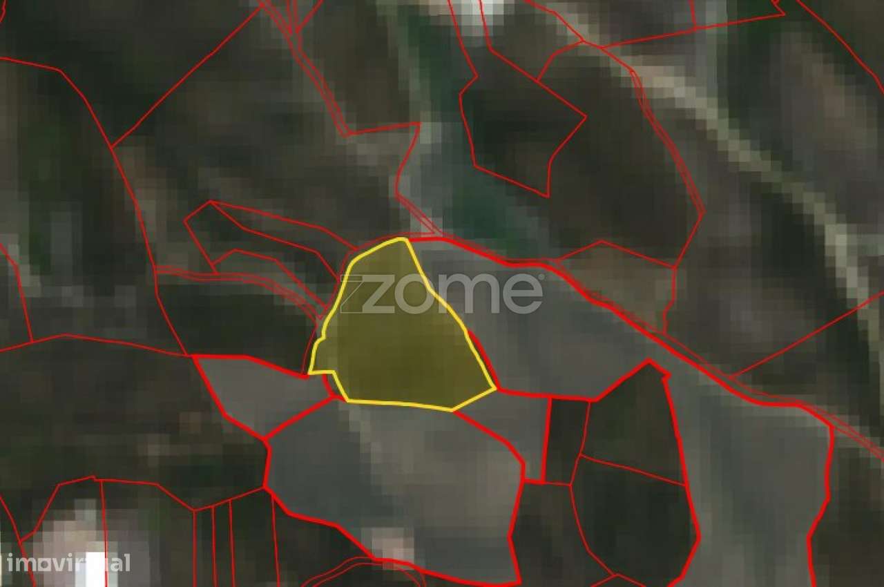 Terreno Rústico com 8.240m2 em Torres Vedras-10