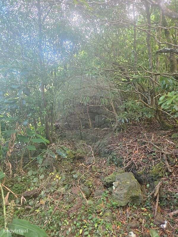 Terreno  para venda-4