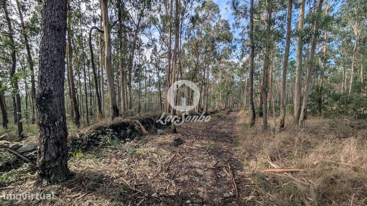 Terreno com 14.516m2 em Laúndos, Póvoa de Varzim - Grande imagem: 5/8
