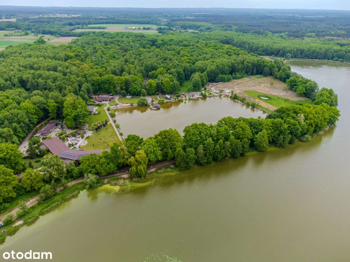 Działki turystyczno rekreacyjne w lesie-4
