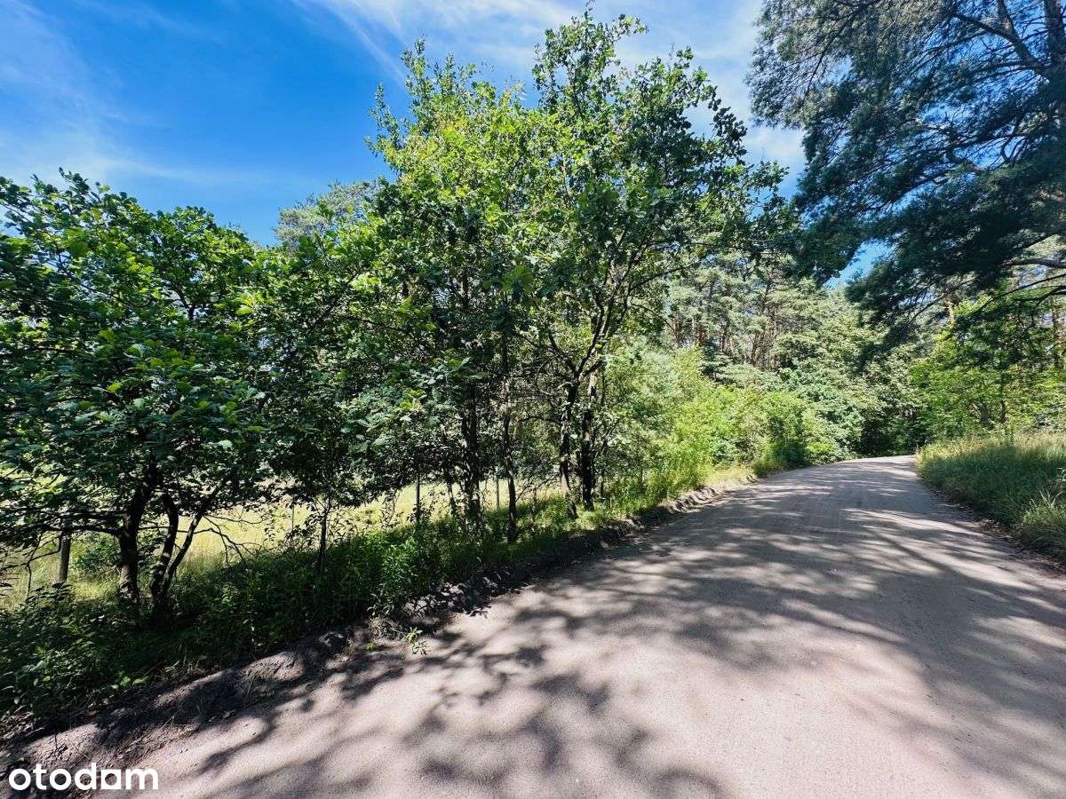 Lusowo - działka dla konesera. - Pełny obrazek: 4/6