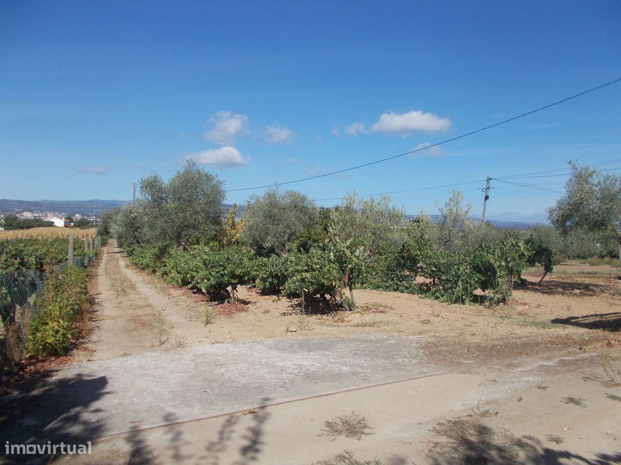 Terreno e Armazém em Chaves-7