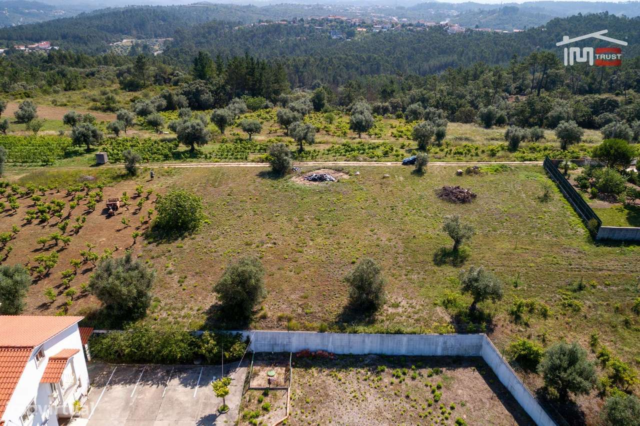 Terreno para construção, Alburitel - Grande imagem: 5/9