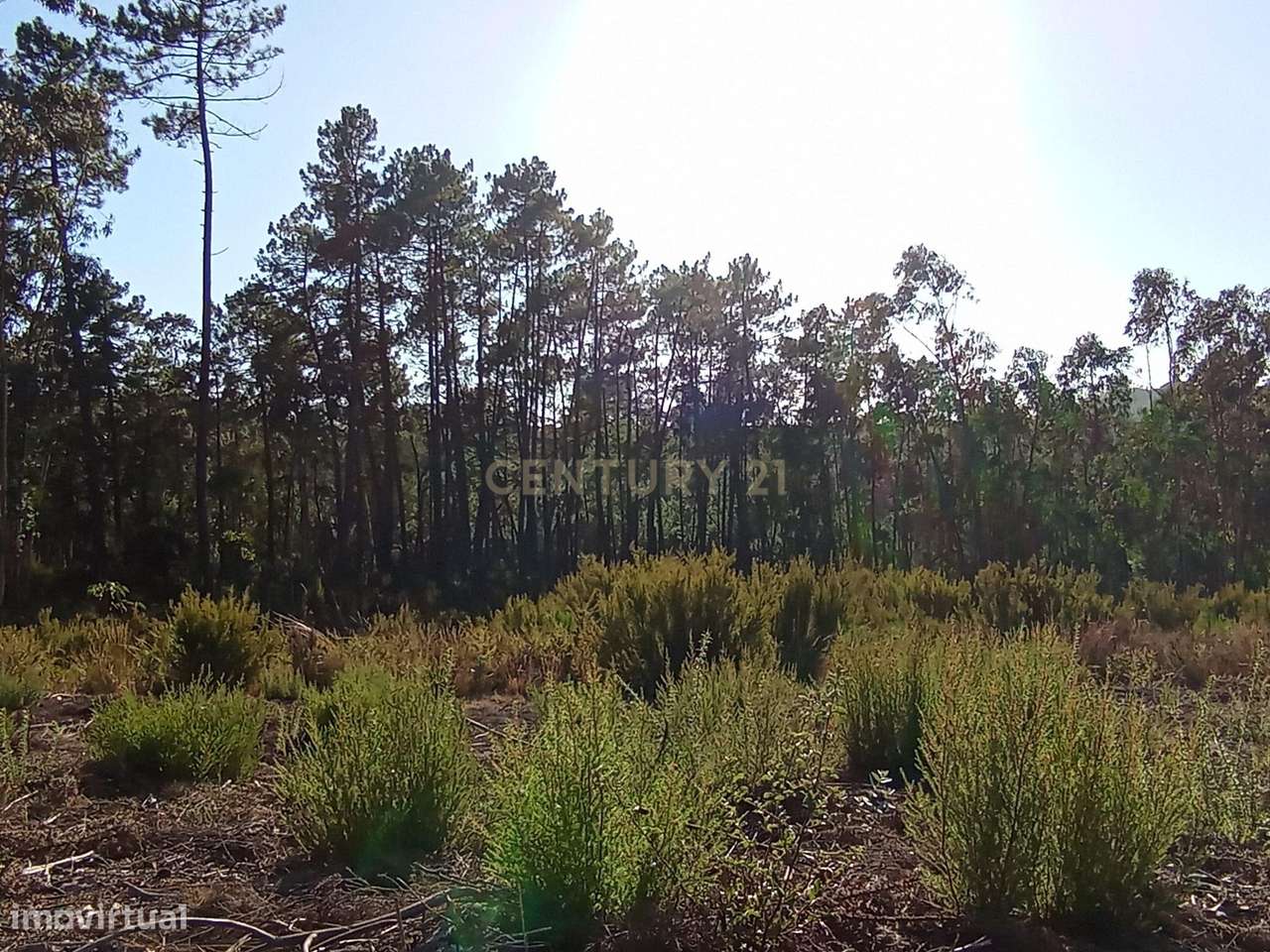 Terreno para Construção – Oportunidade Única! - Grande imagem: 4/8