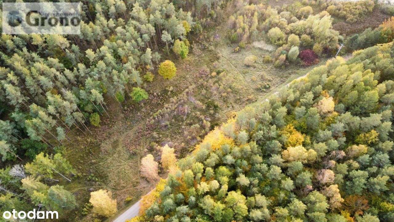 Dzialka Budowlana Uslugowa z Wz-4