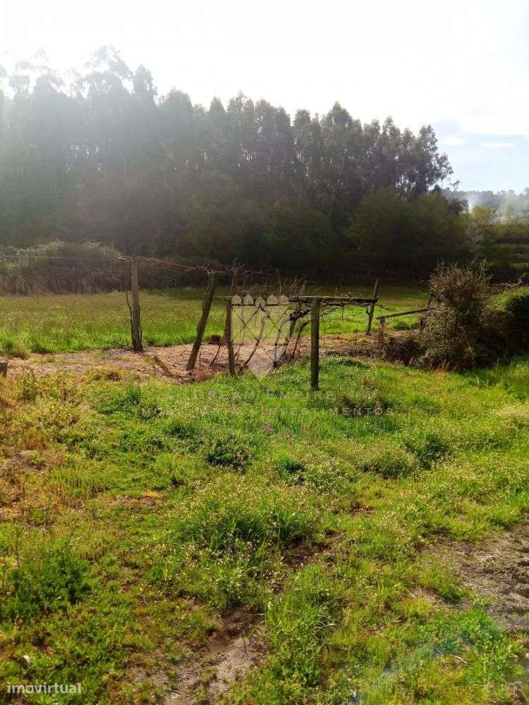 Terreno Rústico com 2.700 m² - Fonte Arcada - Grande imagem: 3/4