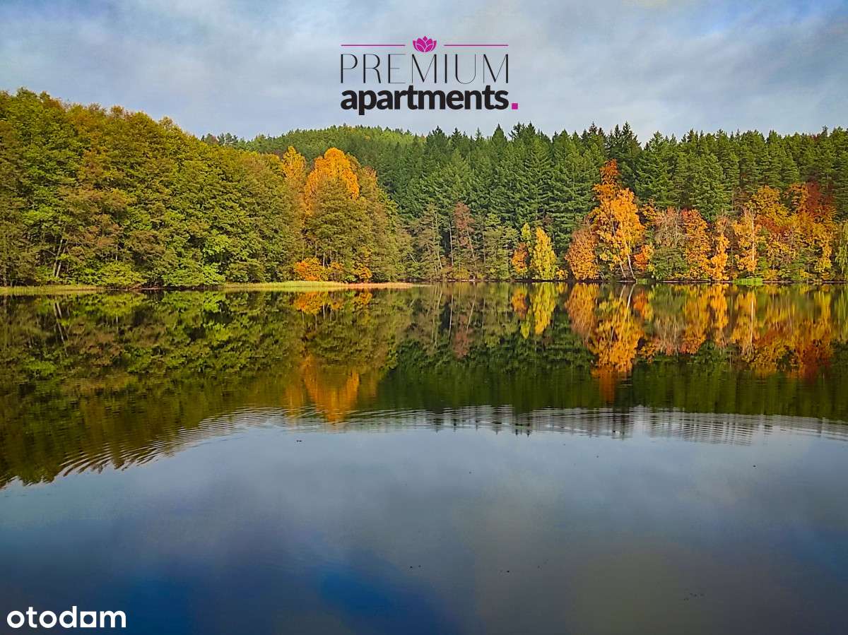 Kaszuby. Działka z linią brzegową. - Pełny obrazek: 4/20