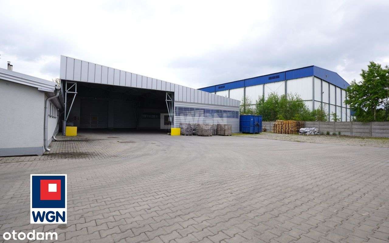 Hala/Magazyn, 4 440 m², Piotrków Trybunalski - Pełny obrazek: 5/20