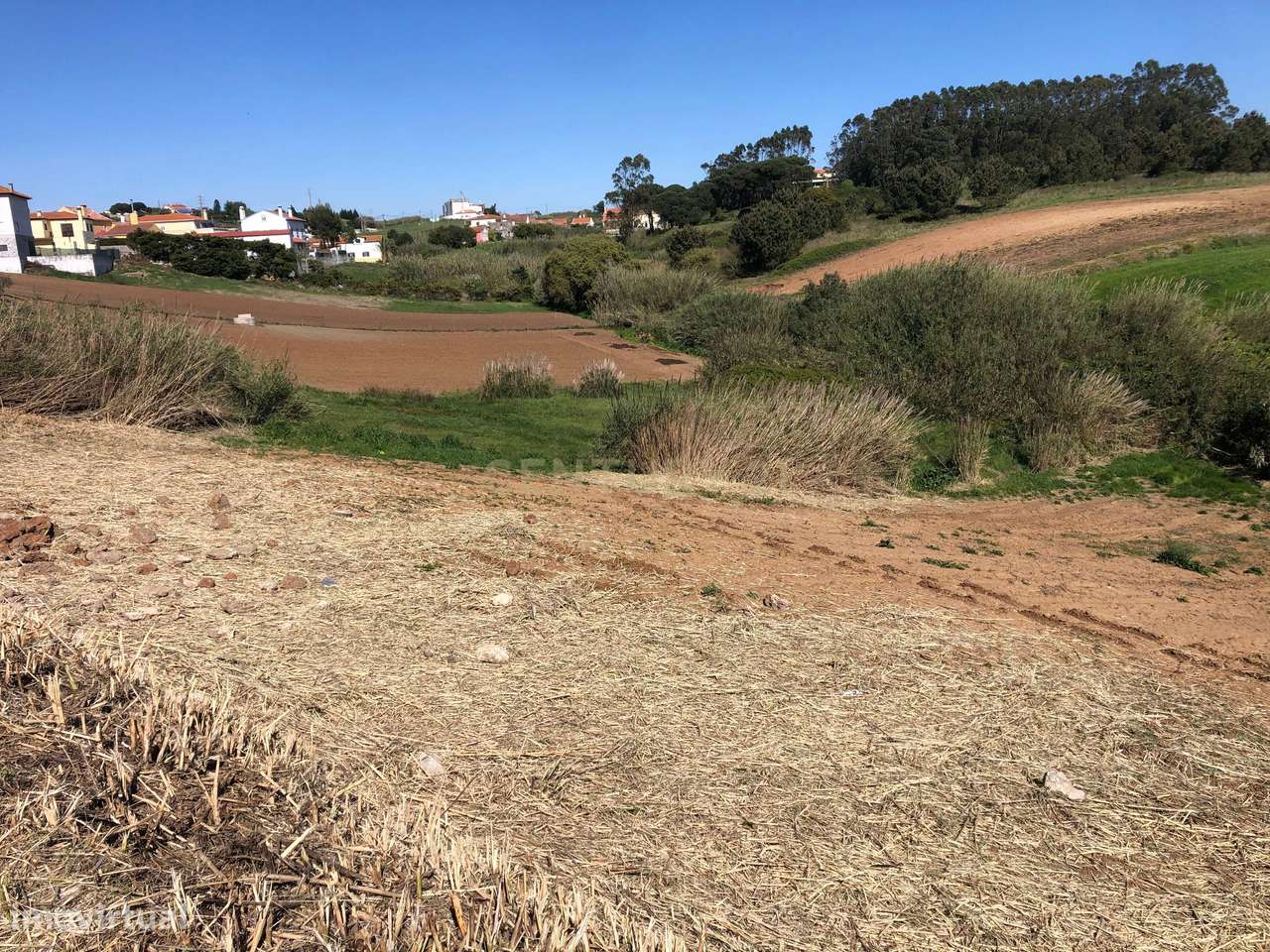 Vende-se Terreno Rustico Em Vale Medo - Lourinhã - Grande imagem: 4/14