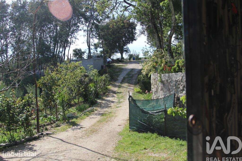 Terreno Agrícola em Oliveira do Hospital e São Paio de Gramaços-19