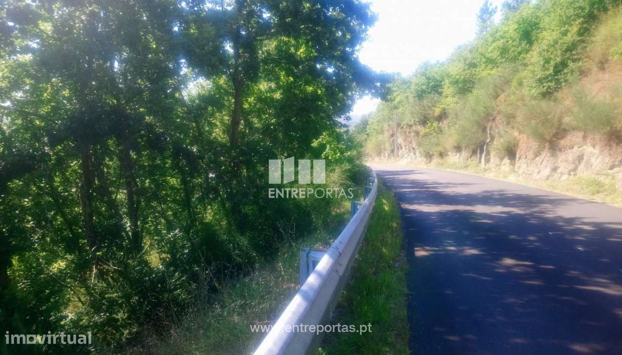 Venda Terreno p/ plantação agrícola, Soalhães, Marco de Canaveses - Grande imagem: 2/30