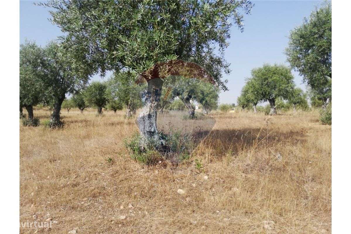 Terreno T0 para venda - Grande imagem: 5/26