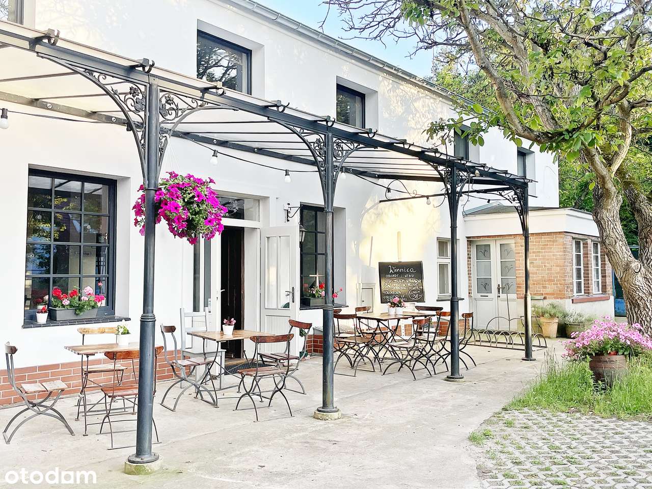 Dom, 520 m², Zielona Góra - Pełny obrazek: 1/20