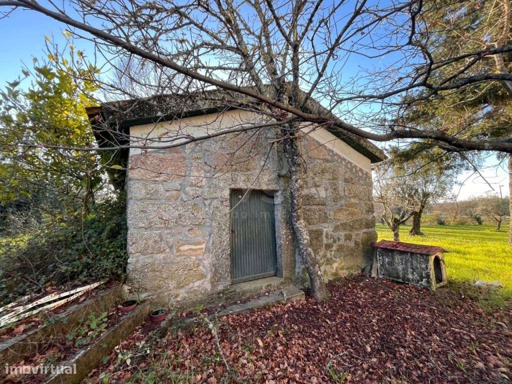 Quinta T3 com cerca de 2 hectares, localizada na cidade de Mangualde. - Grande imagem: 5/16