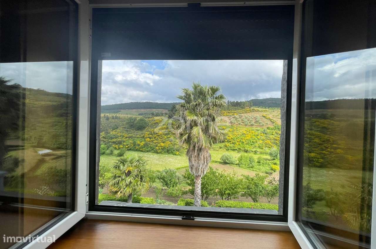 Quinta com Moradia V3 de 2 Pisos, Garagem e Olival – São Pedro, Vei...-16