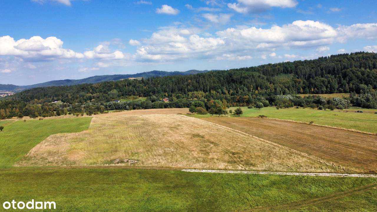 Widokowa działka budowlana. - Pełny obrazek: 4/5