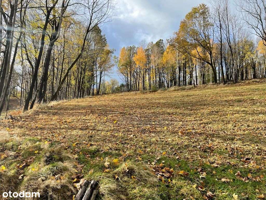 Działka budowlana 2 154m2 - Świeradów Zdrój-9
