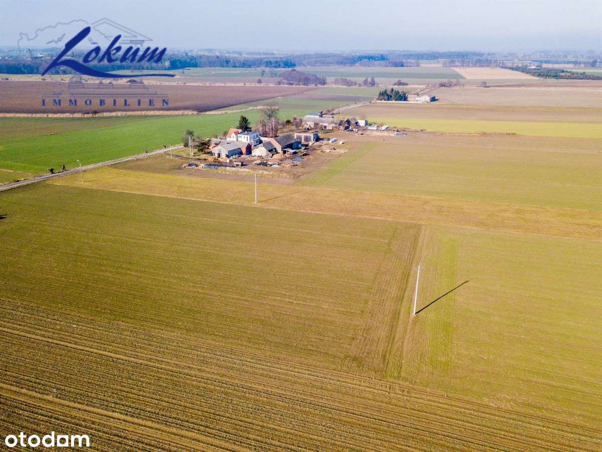 Wyciążkowo, piękna okolica - działka - Pełny obrazek: 4/8