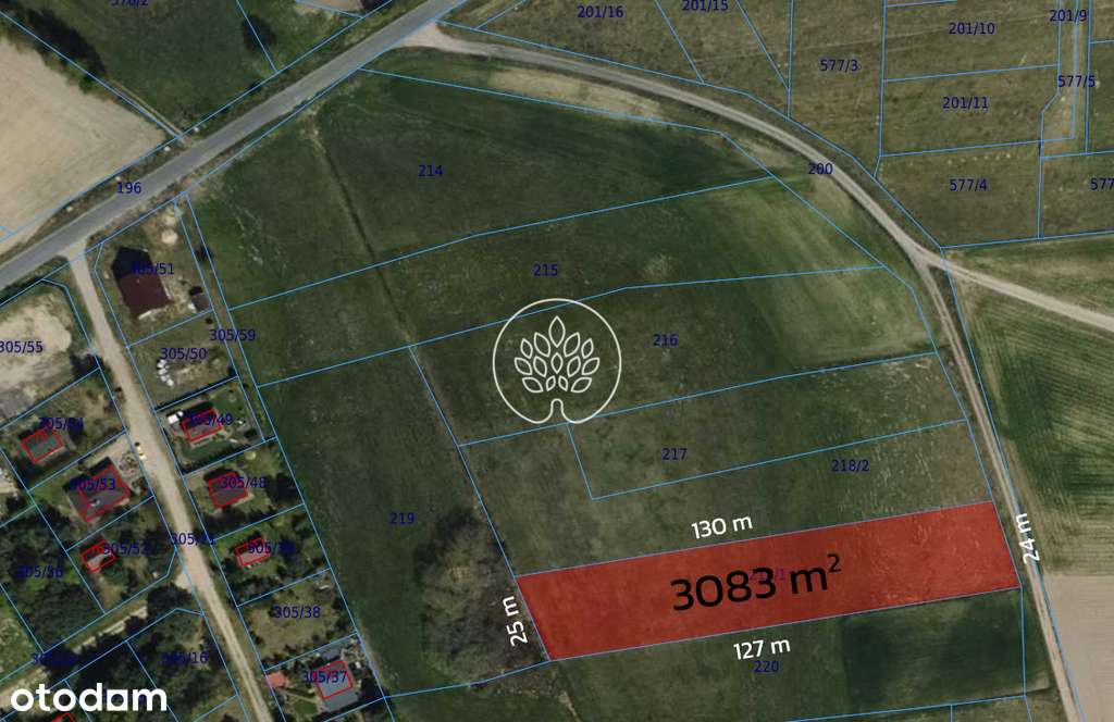 Błądzim. 400 m od brzegu jeziora. - Pełny obrazek: 4/5