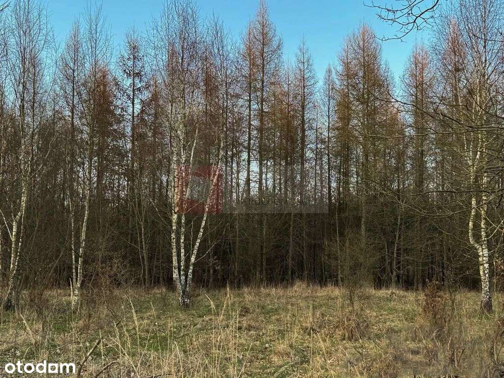 Błotny Młyn 903 m2 działka przy lesie na sprzedaż!-2