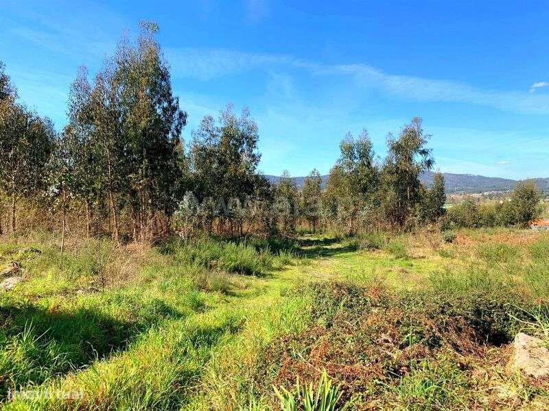 Terreno para Construção / Marco de Canaveses, Vila Boa do Bispo - Grande imagem: 5/15