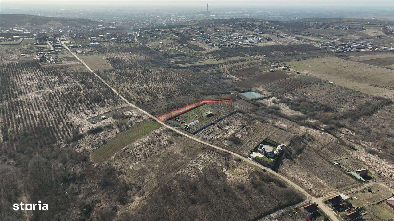 RECO TEREN INTRAVILAN IN PALEU - Imagine principală: 5/5