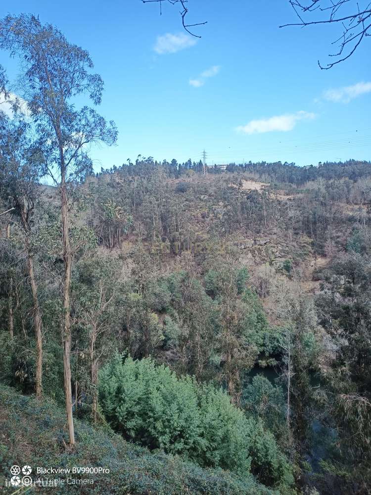 Quinta das Fontainhas, Rio de Moinhos, Penafiel-38