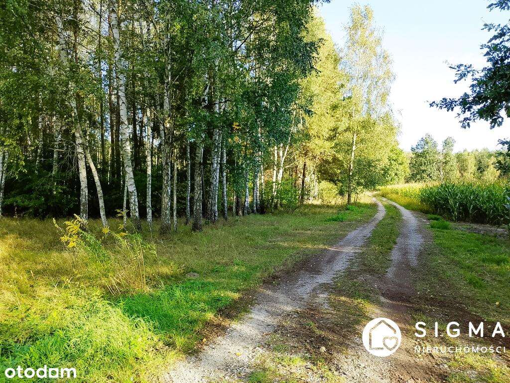 Piękna działka przy lesie MPZP 50 km od Warszawy - Pełny obrazek: 4/4