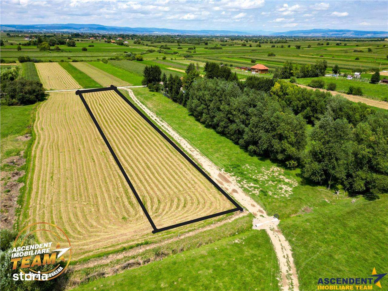 Teren intravilan,2.900mp,recomandat: investitional rezidentialconstruc - Imagine principală: 4/7