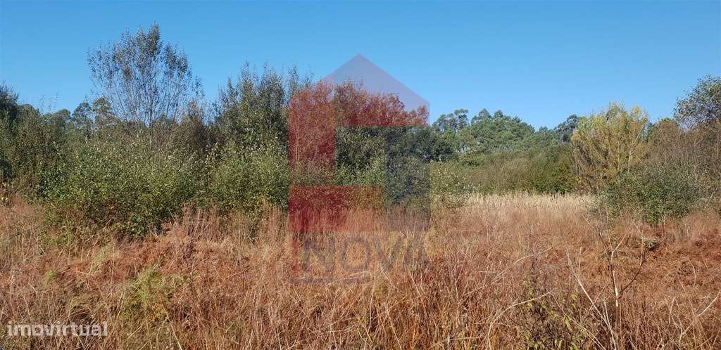 Terreno agrícola em Freiriz, Vila Verde - Grande imagem: 4/7