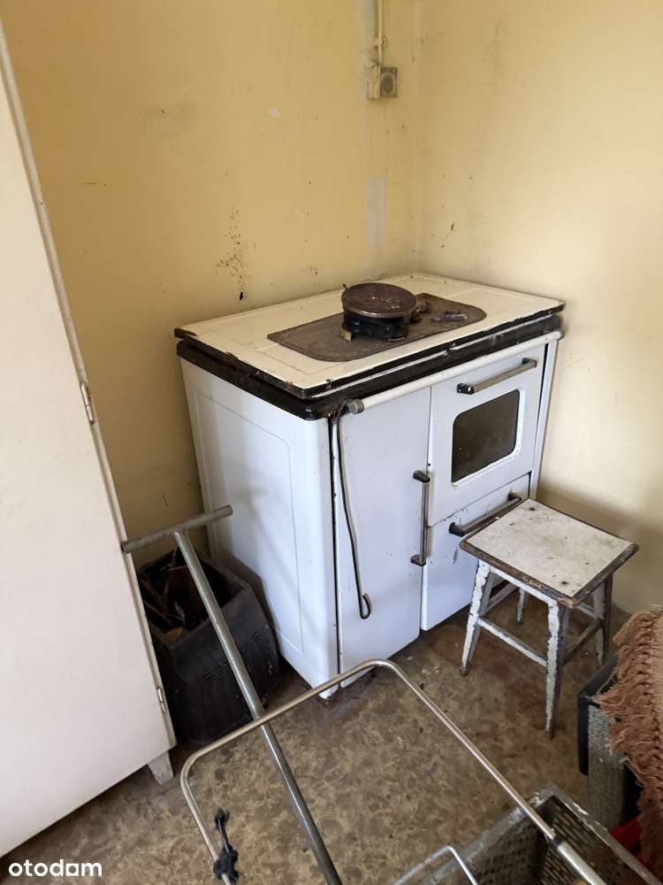 Ogródek działkowy ROD Wieczorek - Pełny obrazek: 3/7