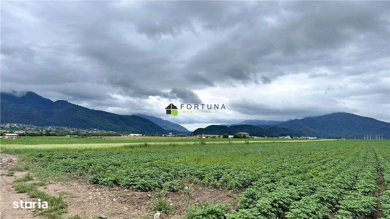 Teren extravilan 13200 mp.zona de case Sacele pretabil investitie!! - Imagine principală: 3/11