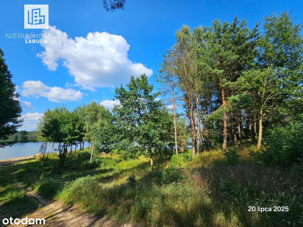 Działka nad jeziorem z linią brzegową - Pełny obrazek: 4/13