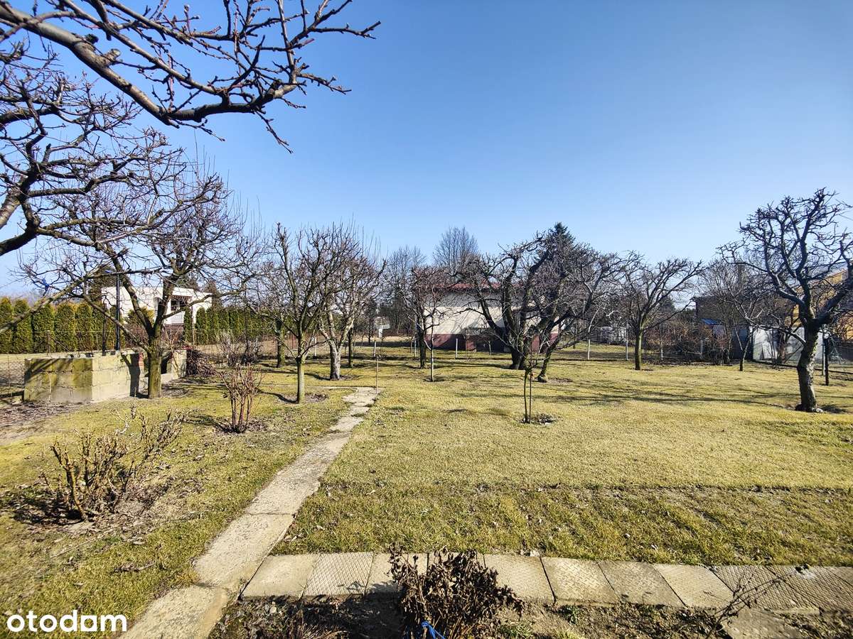 Sprzedam działkę z altaną na ROD Wyspiańskiego w Koninie-3