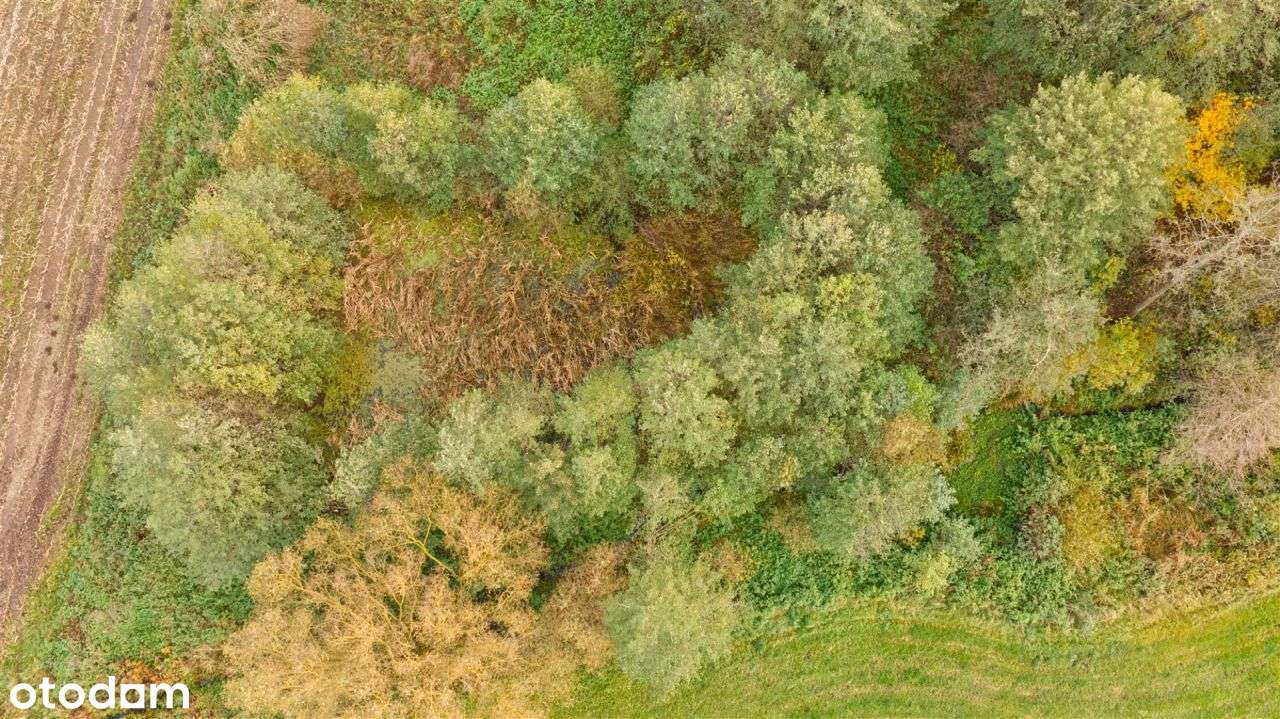 Siedlisko z duszą na skraju wsi – Rolki 20-4