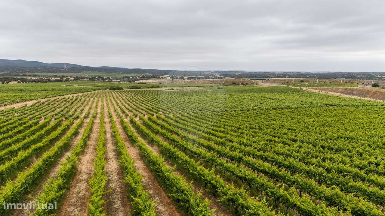 Herdade  para venda - Grande imagem: 4/12